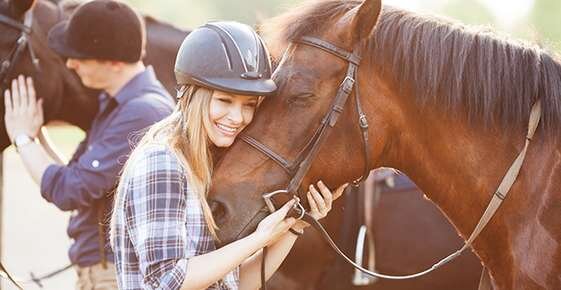 senior horse holistic care